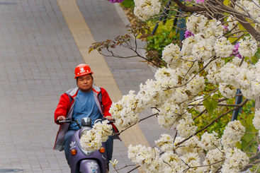 花海打工人