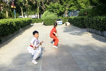 少年剑韵