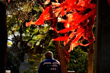 玄武湖卫士