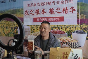 藜麦哥上线啦！