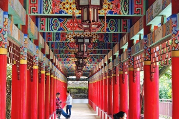 《古廊活力》（手机摄）