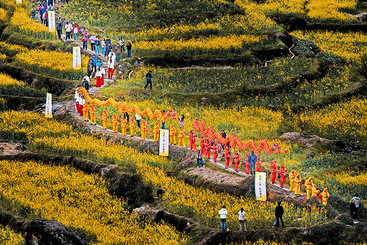 花田闹春