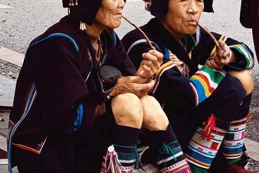 哈尼姐妹