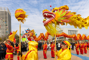 舞龙贺新年