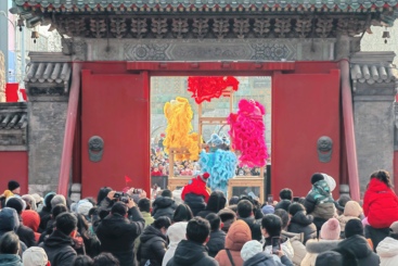 庙会看舞狮
