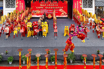 龙腾狮跃闹元宵