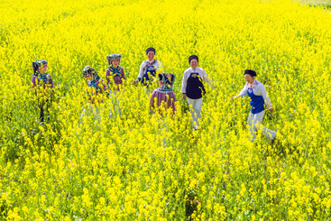 《布依族三月三》