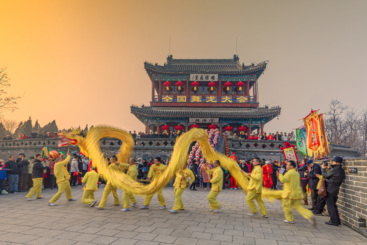 《龙影翻飞》