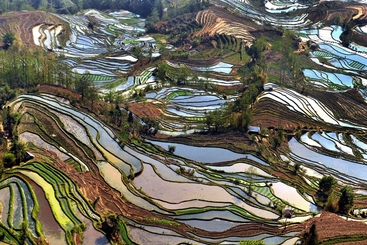 《大地调色板》