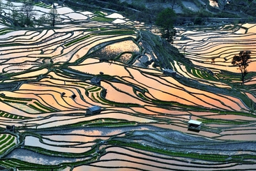 《梯田余辉》