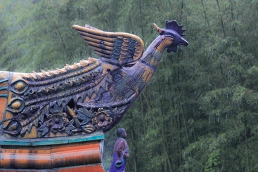 《凤飞九天》