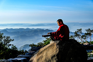 高山琴韵