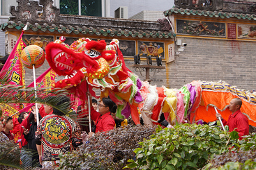 《醒狮传吉祥》+中国舞狮+2025.01.29+广东佛山