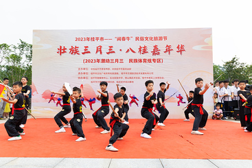 《少年中华武术》