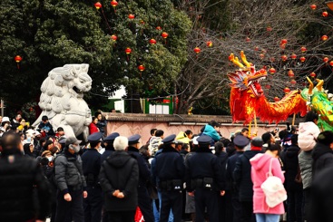《中华图腾》