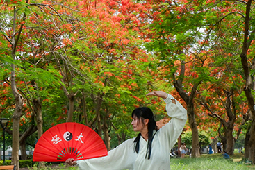 太极花韵