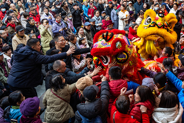 《摸雄狮纳祥瑞》