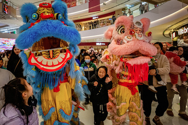 舞狮迎新年