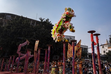 瑞狮腾越贺新年