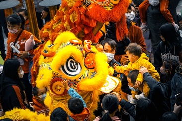 狮童对话