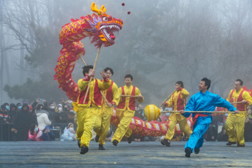 龙驰劲跃