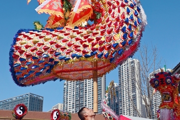 龙阳高龙