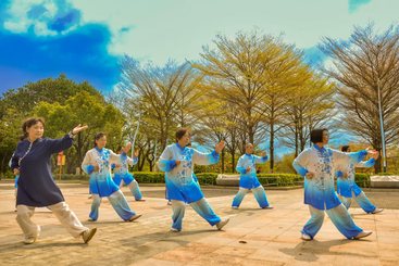 《42式太极拳》