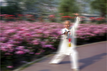 《非遗太极：动静之间的传承》