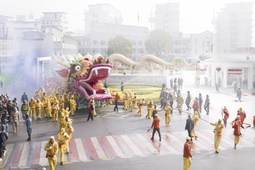 《金鳞耀衢，鳌龙焕彩》 