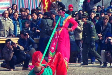 《旱地拔葱》