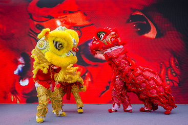 《狮舞迎新年》