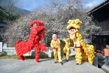 元梅舞春