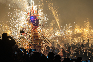 《火舞龙祥》