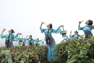 采茶舞曲
