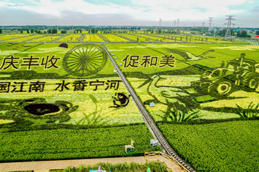 《中餐水稻画》