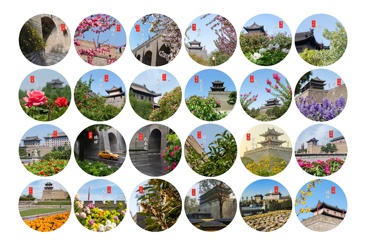 西安城墙二十四节气花语图