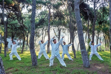 陈氏太极拳