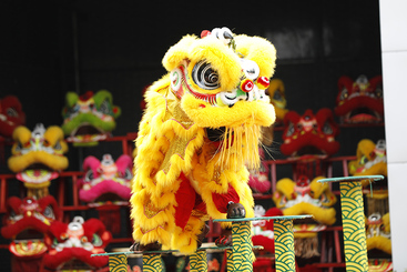 雄踞狮王