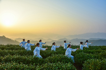 茶山太极