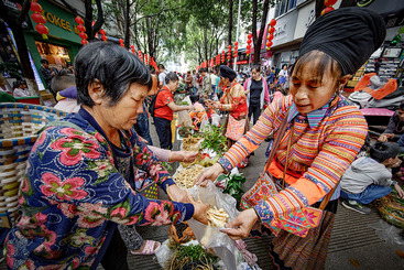 端午药根香