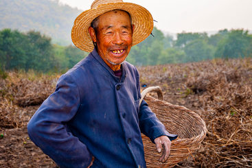 朴实与勤劳