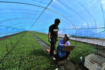 年轻人为农业注入新活力