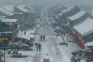 闻雪而动