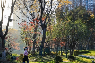 拥抱城市的第一缕阳光