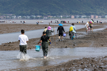 赶海