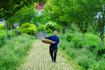 《湄潭茶工》