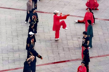 《家园里的舞者》