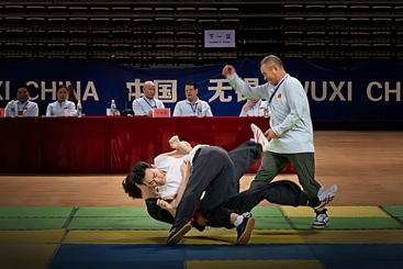 推手