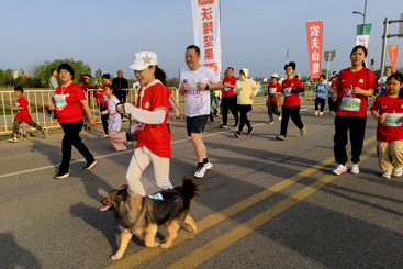 欢乐跑