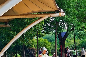 《银发太极》